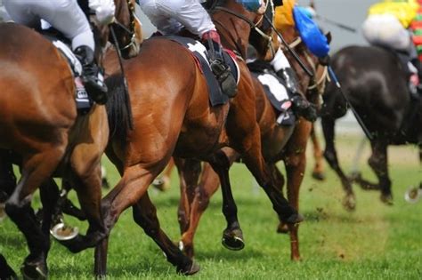 hapi jockey club inc|Horse racing gets boost with fourth racetrack to rise in Batangas.